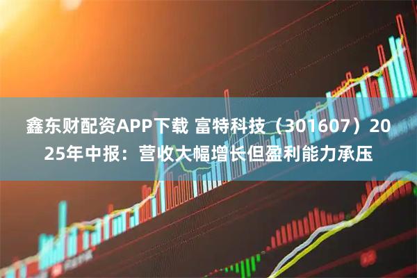 鑫东财配资APP下载 富特科技（301607）2025年中报：营收大幅增长但盈利能力承压